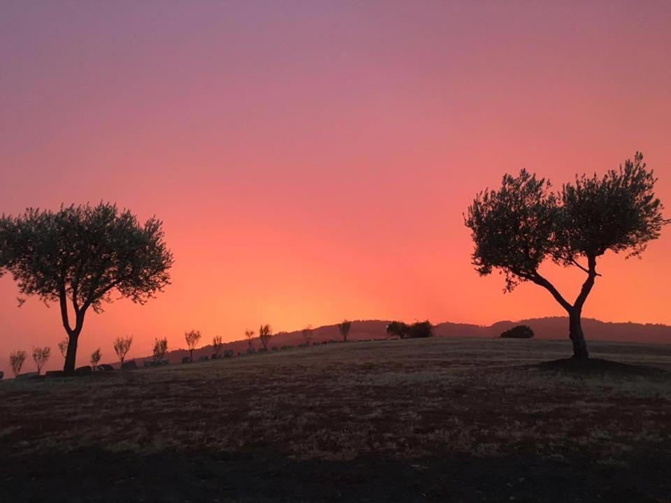 Alloggio per agriturismo Pianderna Agriwellness